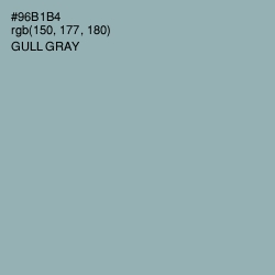 #96B1B4 - Gull Gray Color Image