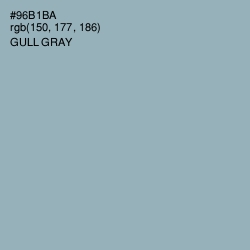 #96B1BA - Gull Gray Color Image