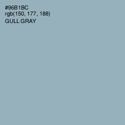 #96B1BC - Gull Gray Color Image