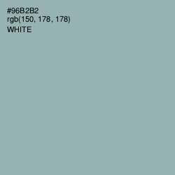 #96B2B2 - Gull Gray Color Image