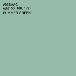 #96BAAC - Summer Green Color Image