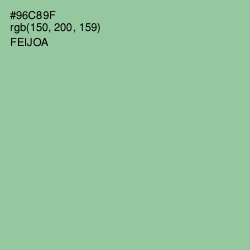 #96C89F - Feijoa Color Image