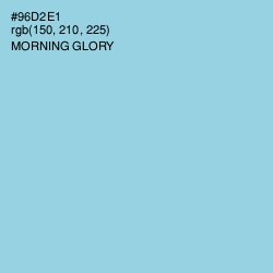#96D2E1 - Morning Glory Color Image