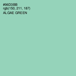 #96D3BB - Algae Green Color Image