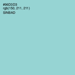 #96D3D3 - Sinbad Color Image