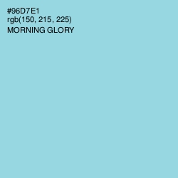 #96D7E1 - Morning Glory Color Image