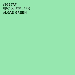 #96E7AF - Algae Green Color Image