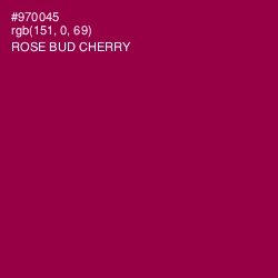 #970045 - Rose Bud Cherry Color Image