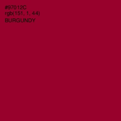 #97012C - Burgundy Color Image