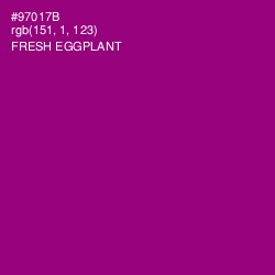 #97017B - Fresh Eggplant Color Image