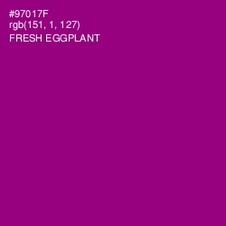 #97017F - Fresh Eggplant Color Image