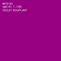 #970181 - Violet Eggplant Color Image