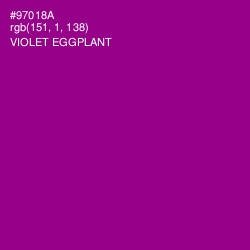 #97018A - Violet Eggplant Color Image