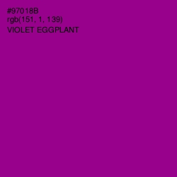 #97018B - Violet Eggplant Color Image