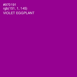 #970191 - Violet Eggplant Color Image