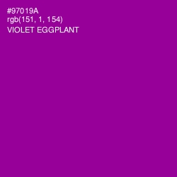 #97019A - Violet Eggplant Color Image