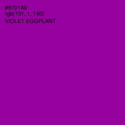 #9701A0 - Violet Eggplant Color Image