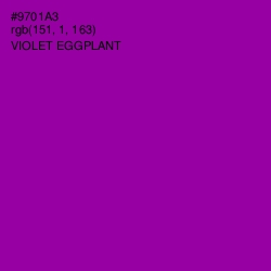 #9701A3 - Violet Eggplant Color Image