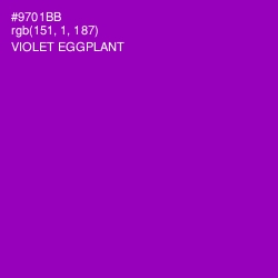 #9701BB - Violet Eggplant Color Image