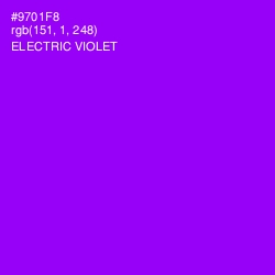 #9701F8 - Electric Violet Color Image