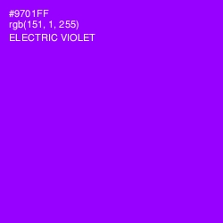 #9701FF - Electric Violet Color Image