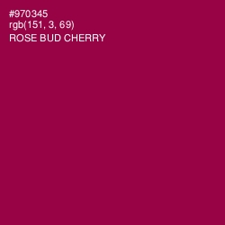 #970345 - Rose Bud Cherry Color Image