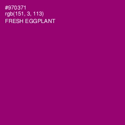 #970371 - Fresh Eggplant Color Image