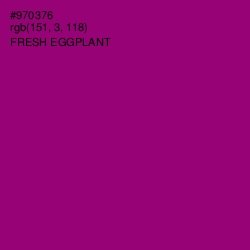 #970376 - Fresh Eggplant Color Image