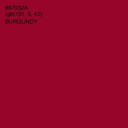 #97052A - Burgundy Color Image