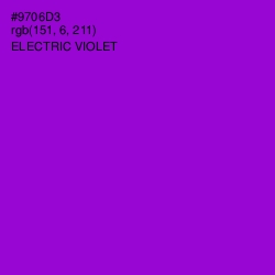 #9706D3 - Electric Violet Color Image