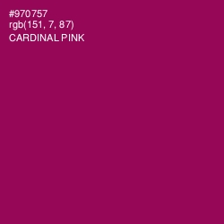 #970757 - Cardinal Pink Color Image