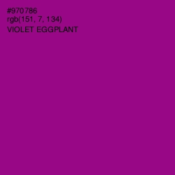 #970786 - Violet Eggplant Color Image