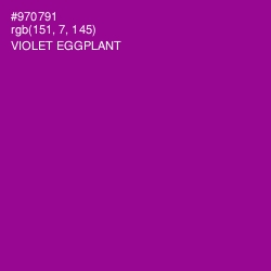#970791 - Violet Eggplant Color Image