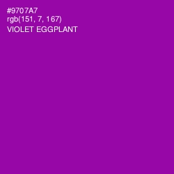 #9707A7 - Violet Eggplant Color Image