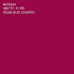 #970944 - Rose Bud Cherry Color Image