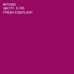 #970963 - Fresh Eggplant Color Image