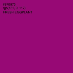 #970975 - Fresh Eggplant Color Image