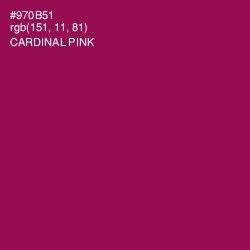 #970B51 - Cardinal Pink Color Image