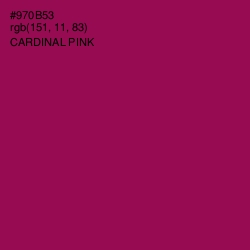 #970B53 - Cardinal Pink Color Image