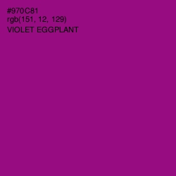 #970C81 - Violet Eggplant Color Image