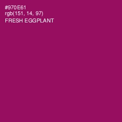 #970E61 - Fresh Eggplant Color Image