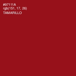 #97111A - Tamarillo Color Image