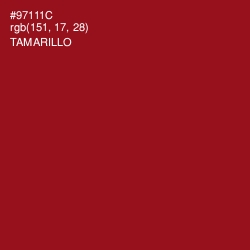 #97111C - Tamarillo Color Image