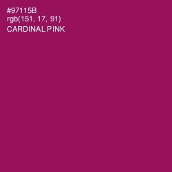 #97115B - Cardinal Pink Color Image