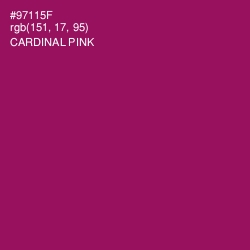 #97115F - Cardinal Pink Color Image