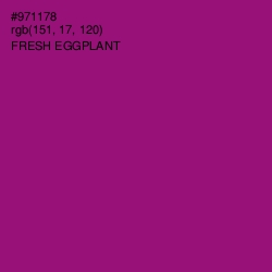 #971178 - Fresh Eggplant Color Image