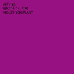 #971180 - Violet Eggplant Color Image