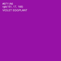 #9711A6 - Violet Eggplant Color Image