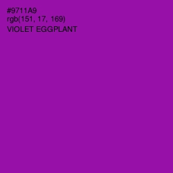 #9711A9 - Violet Eggplant Color Image