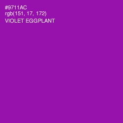 #9711AC - Violet Eggplant Color Image